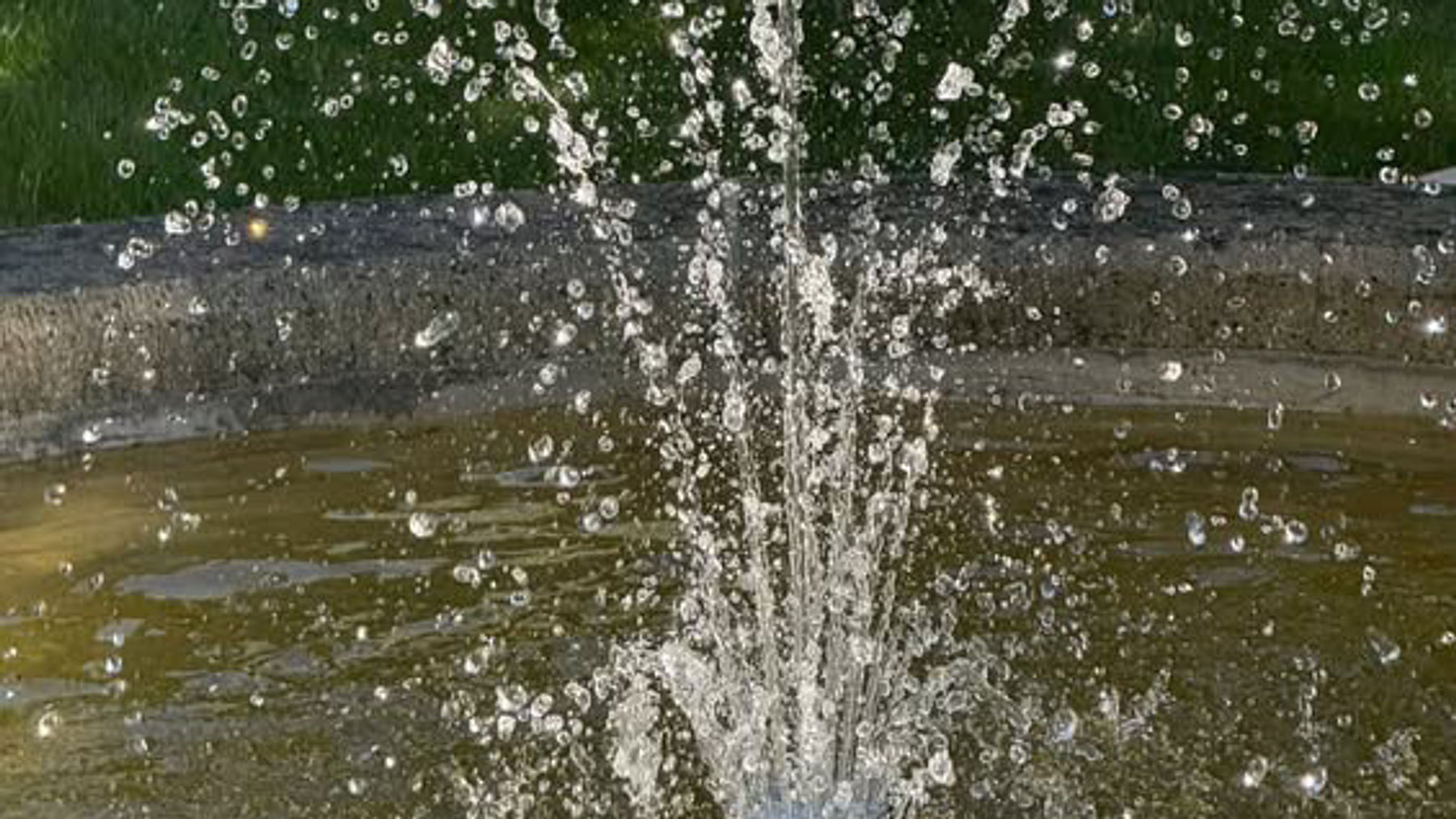 Gartenführung Bereich Springbrunnen